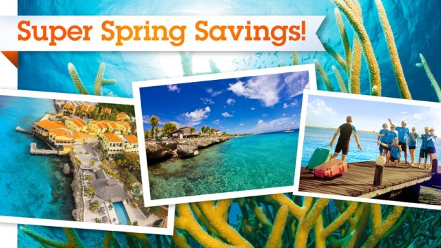 Buddy-super-spring-savings-2015