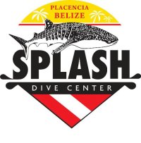splash-logo