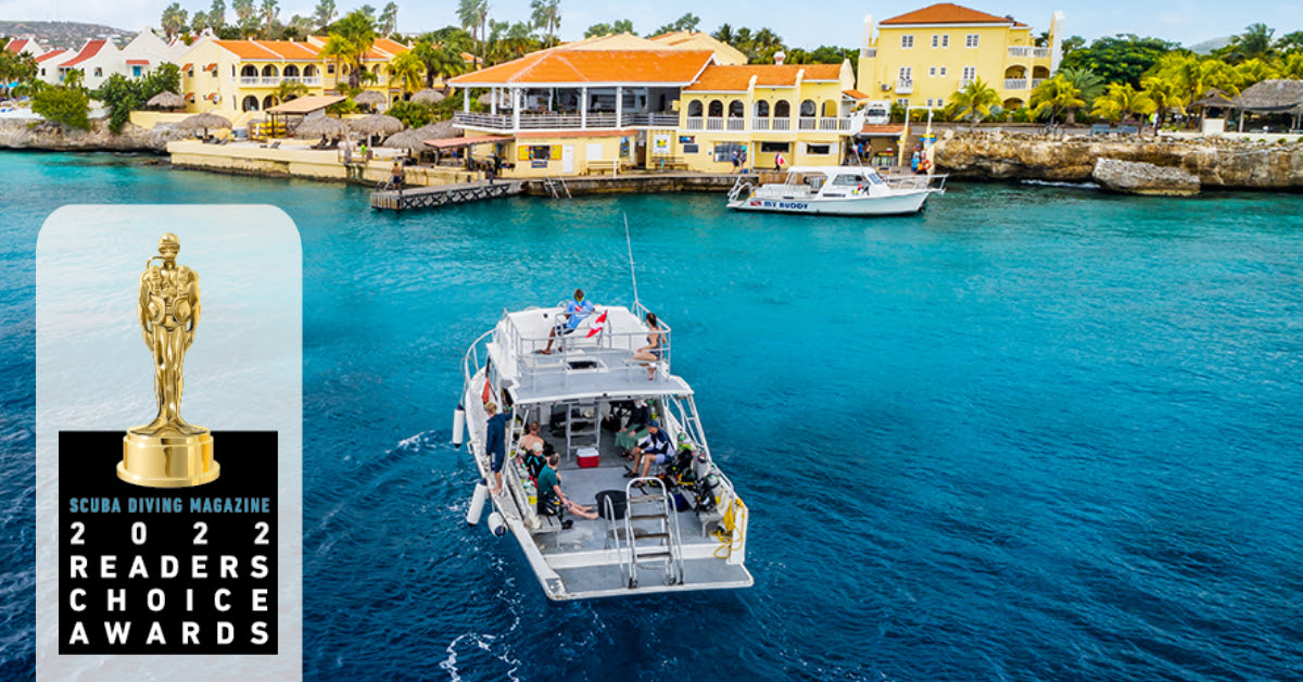 Buddy Readers choice 2021