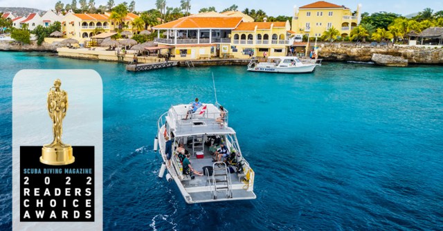 Buddy Readers choice 2021