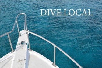 DIVE LOCAL LOGO